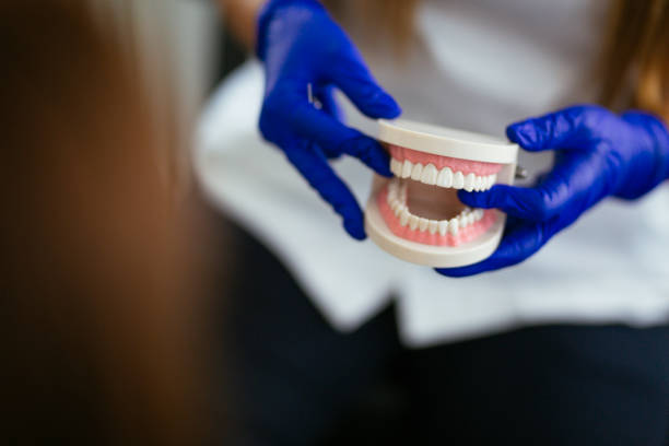 Trusted Layhill, MD  Holistic Dental Services Experts